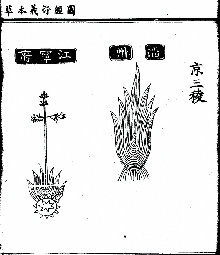 第 1214 页