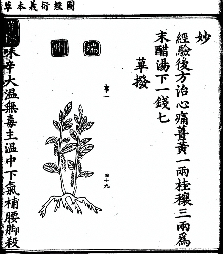 第 1228 页