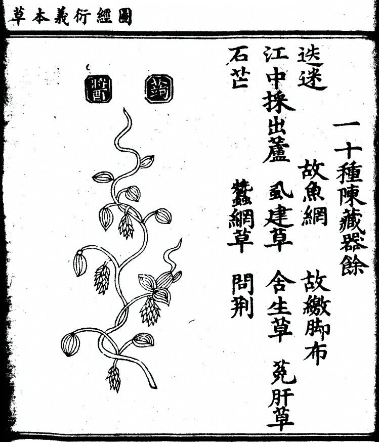 p. 1236