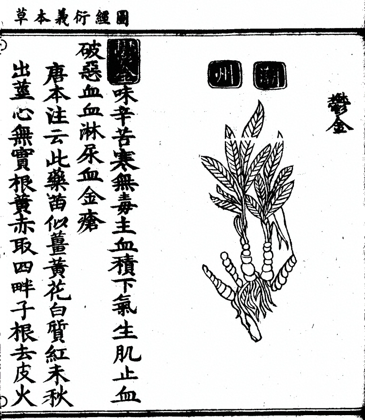 第 1246 页
