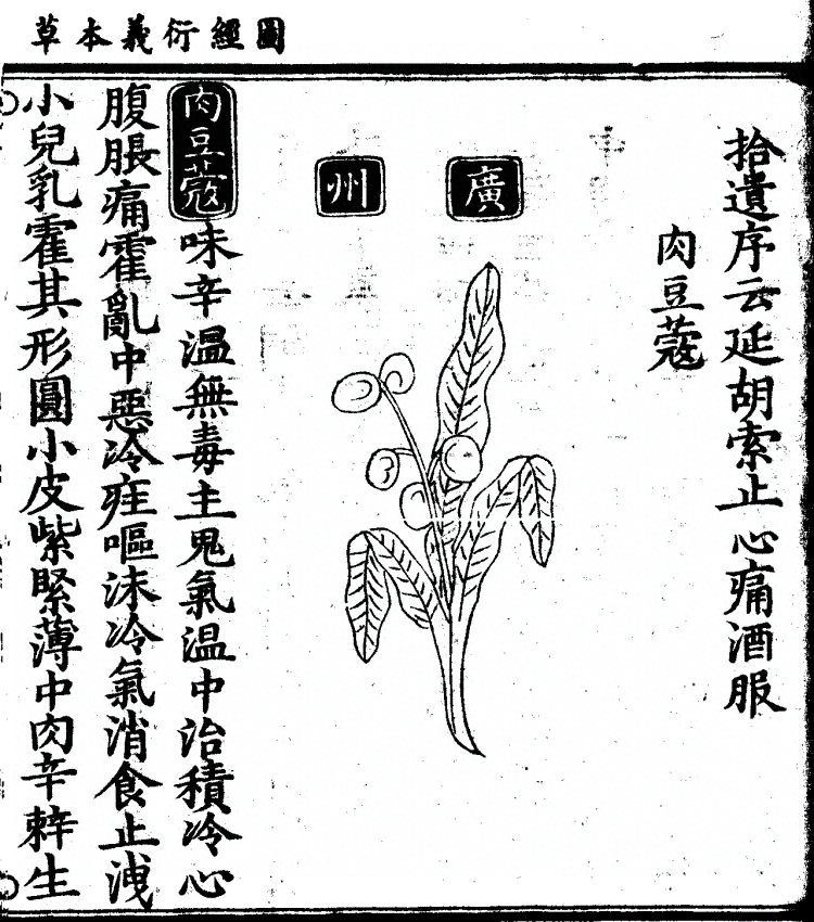 第 1258 页