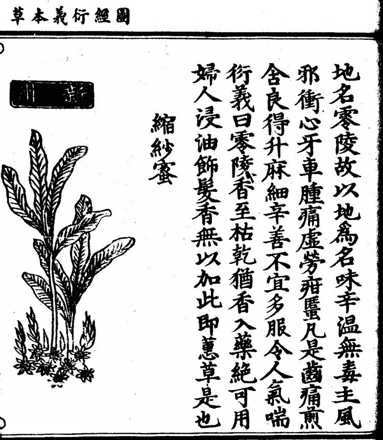 第 1270 页