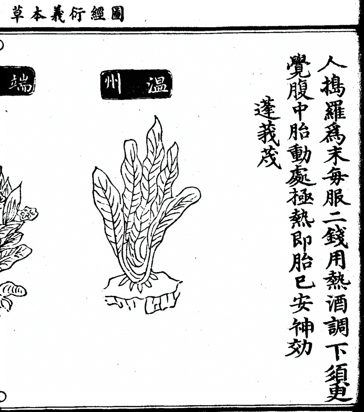 第 1274 页