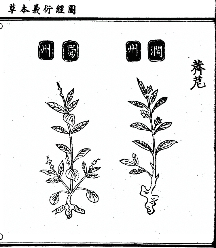 p. 1288