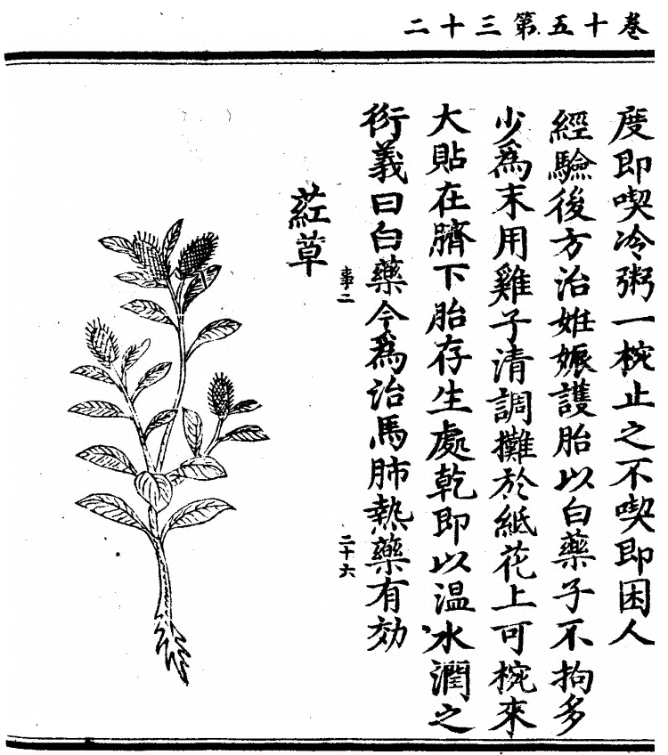 p. 1297