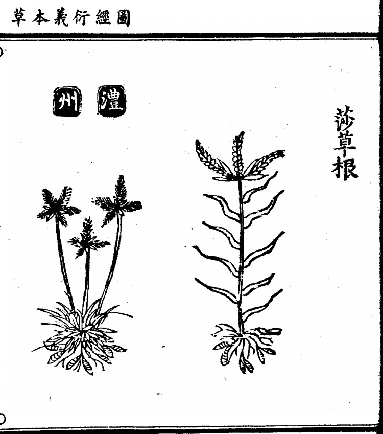 第 1302 页