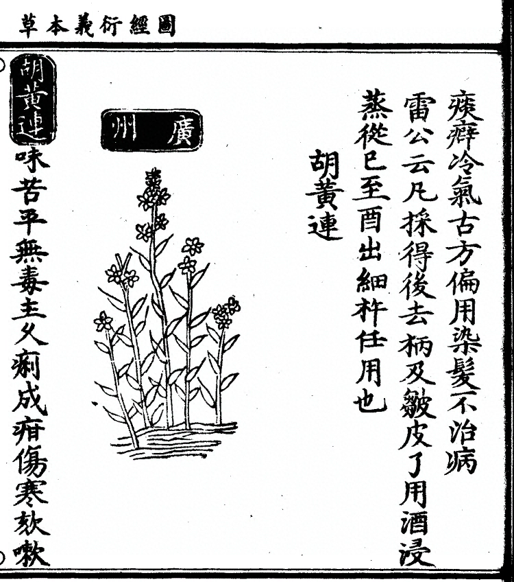 第 1310 页