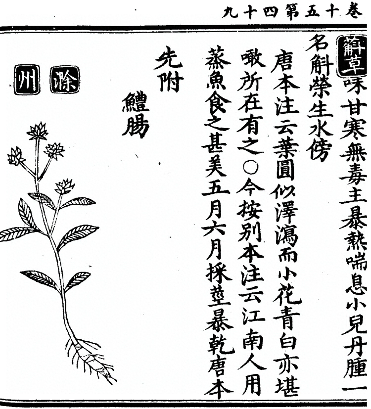 第 1333 页