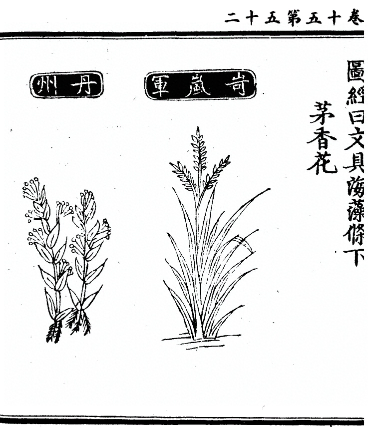 p. 1339