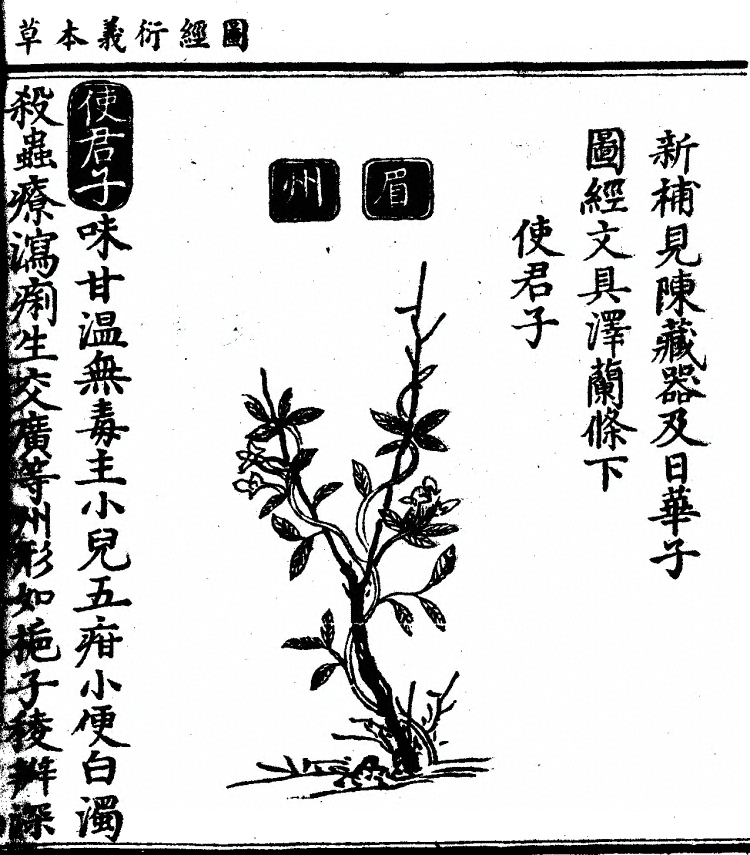 第 1344 页