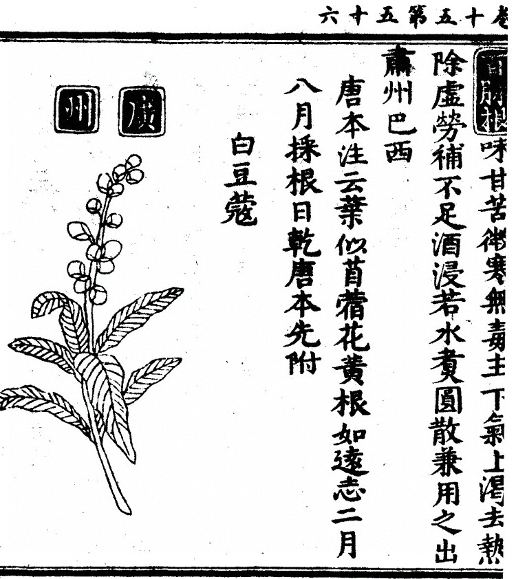 第 1347 页