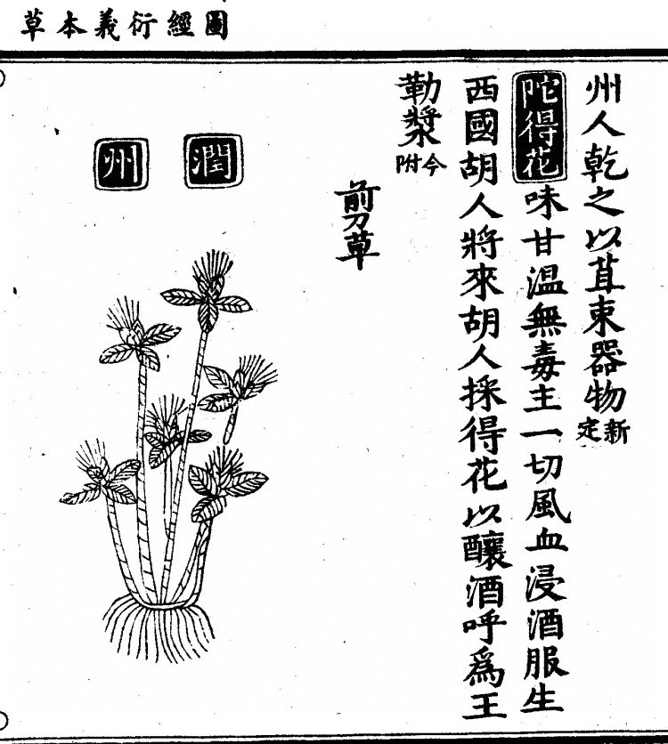 第 1350 页