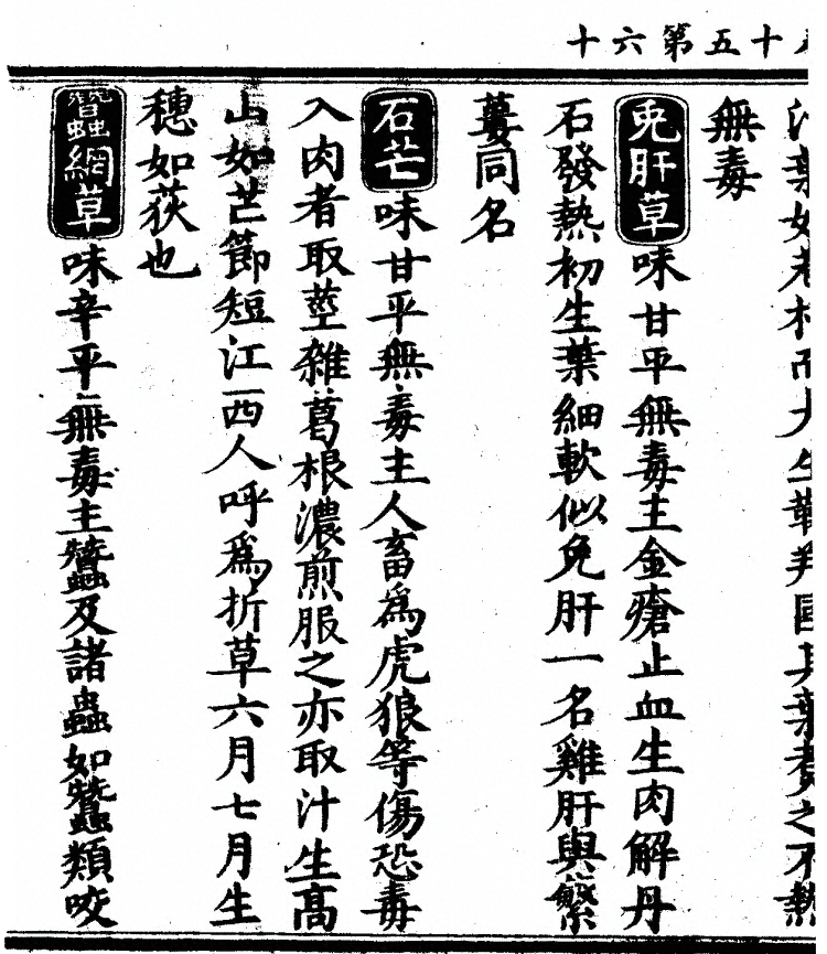 第 1355 页