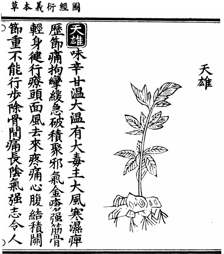 p. 1383