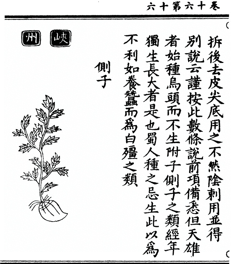第 1388 页