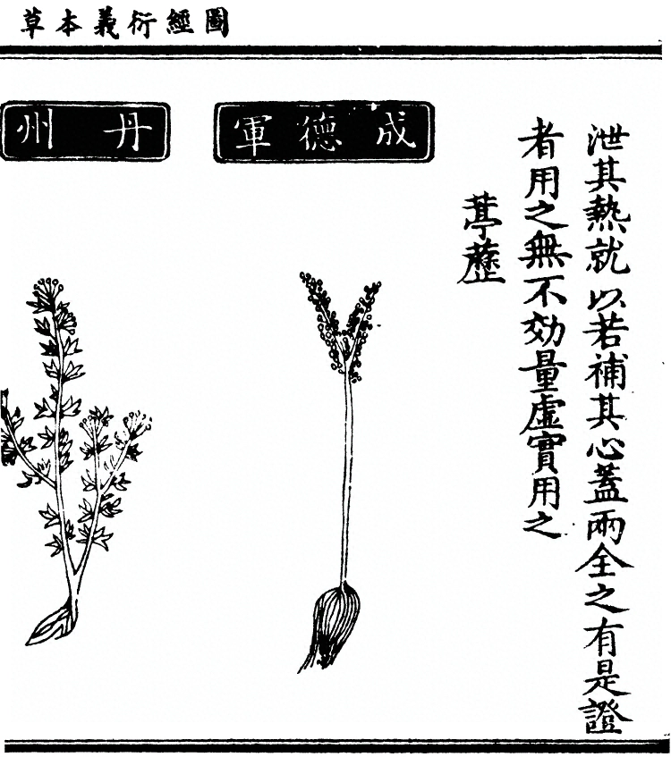 第 1431 页