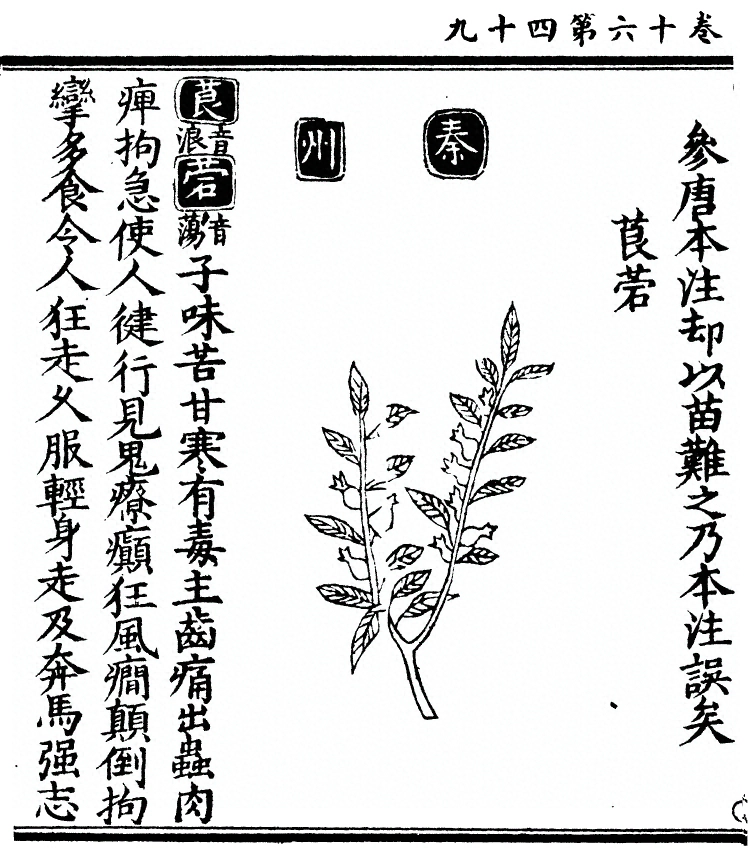 第 1452 页