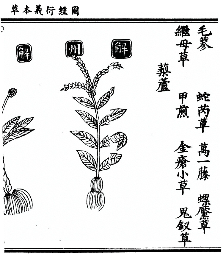 第 1475 页