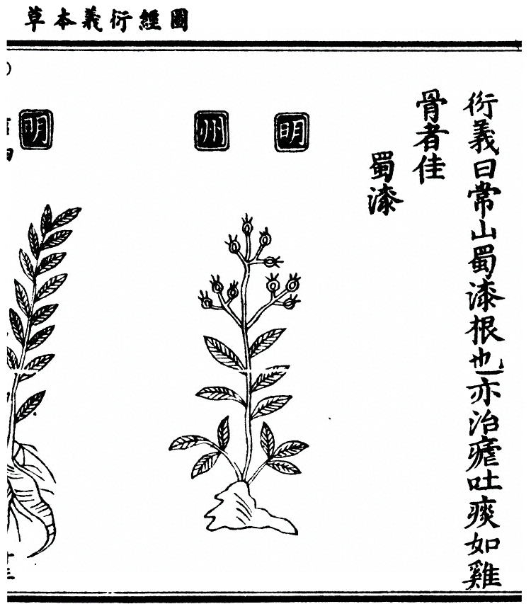 p. 1503