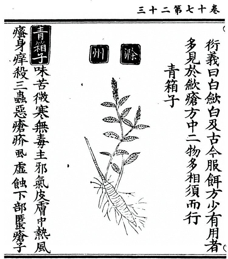 第 1518 页