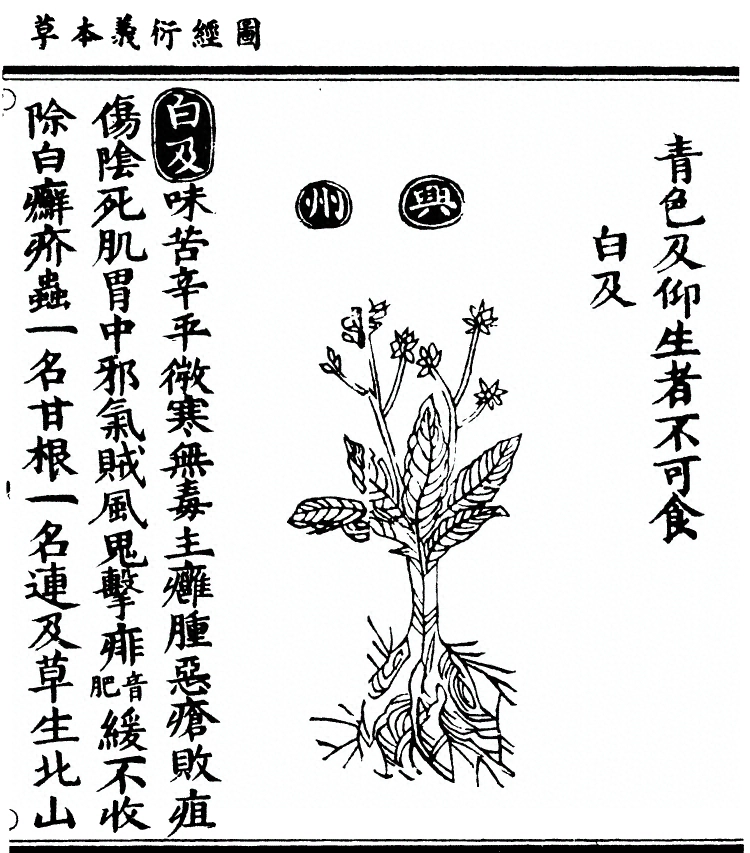 第 1525 页