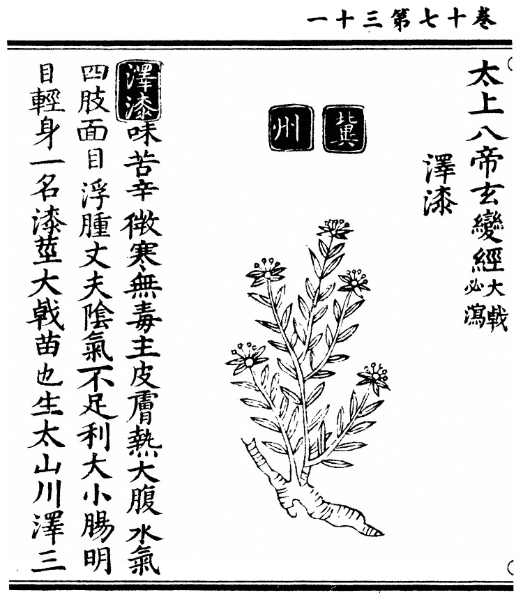 第 1534 页