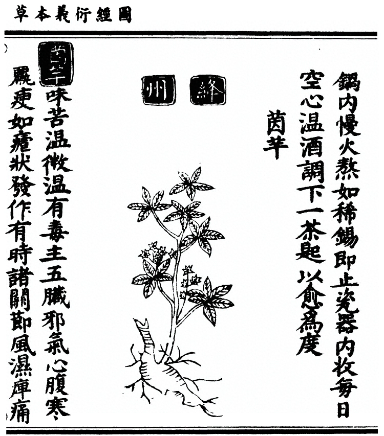 第 1537 页