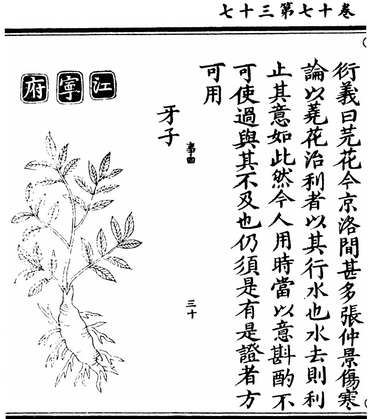 p. 1546