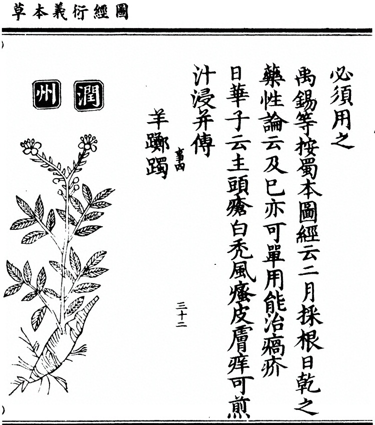 第 1551 页
