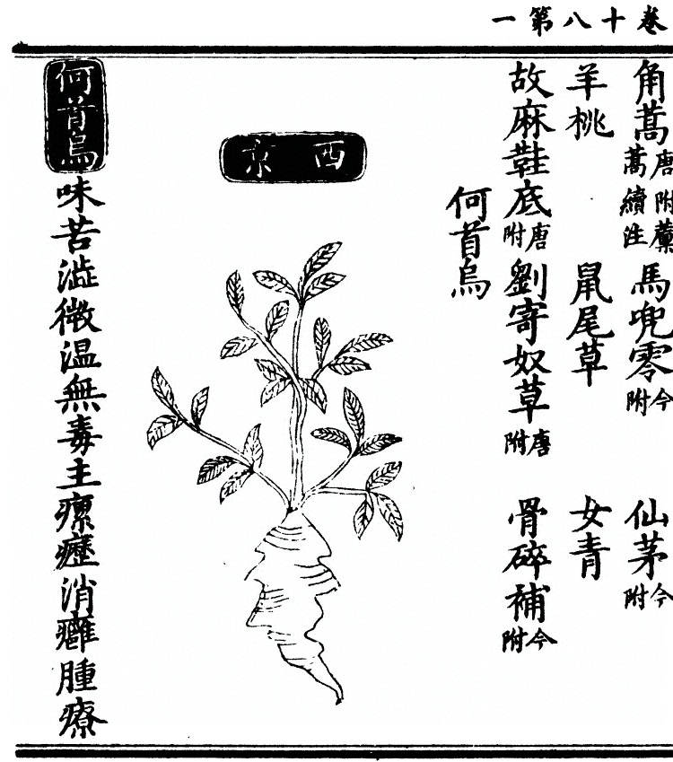 第 1568 页