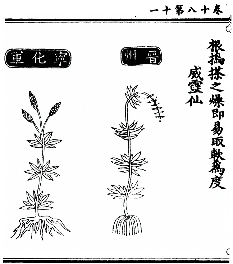 第 1588 页
