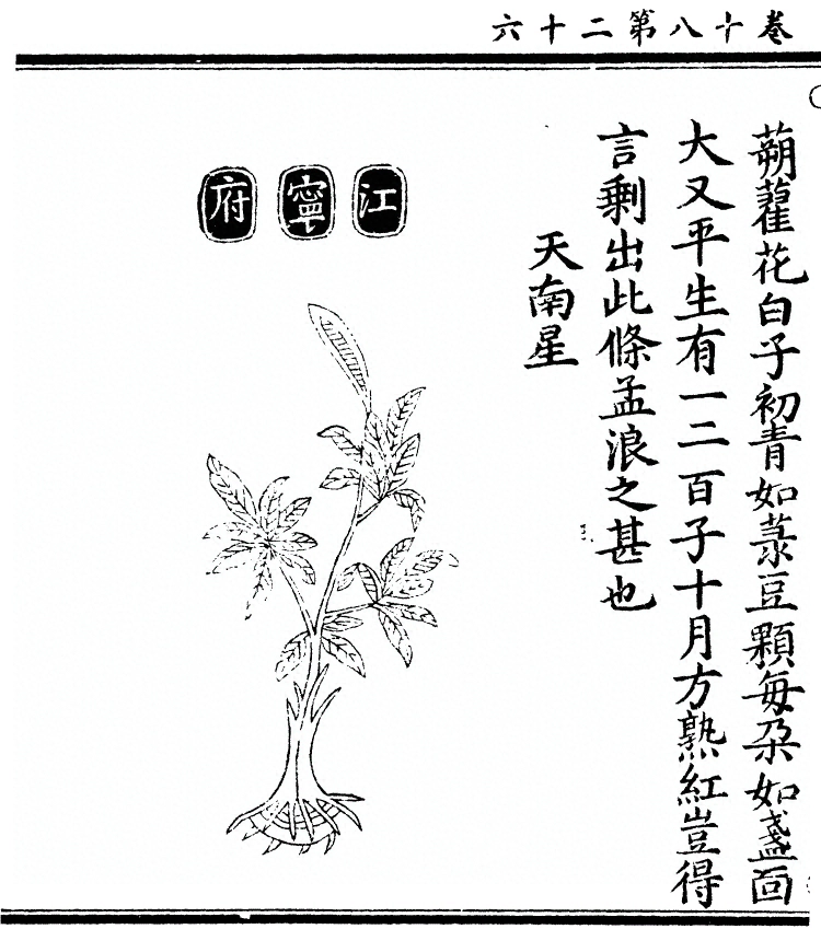 第 1618 页