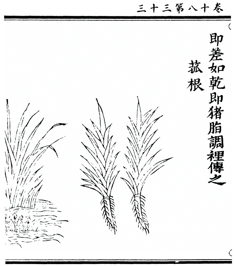 第 1632 页