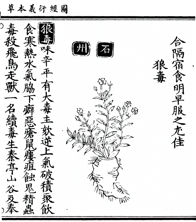 第 1645 页