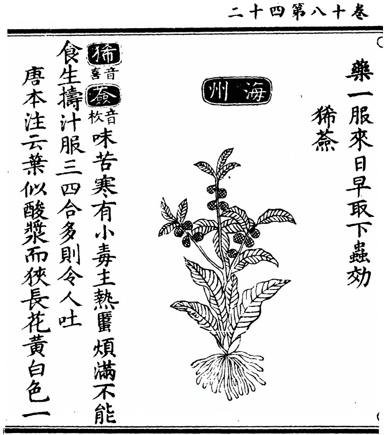 第 1650 页
