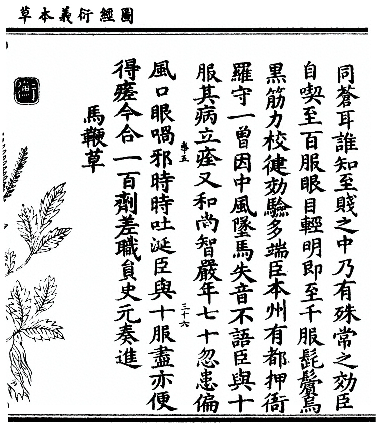 第 1655 页