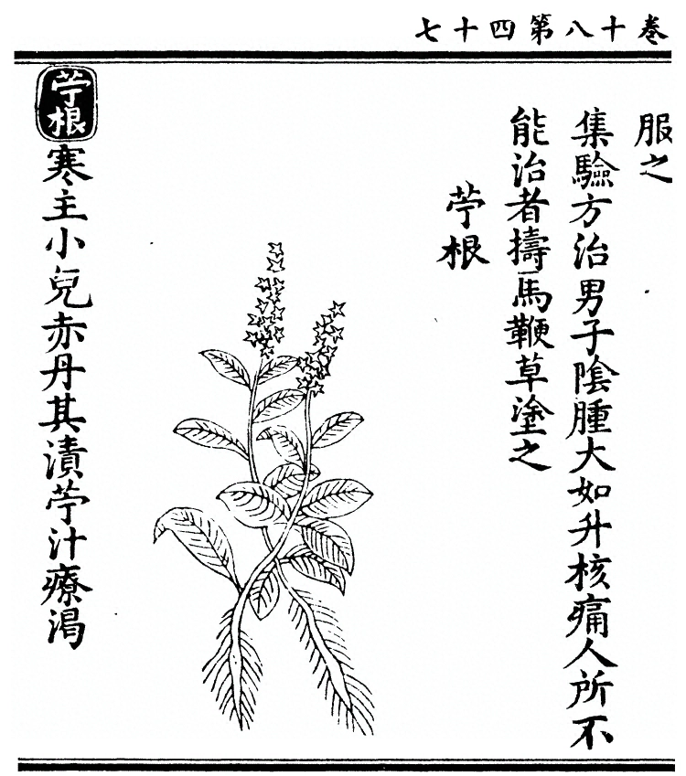 p. 1660