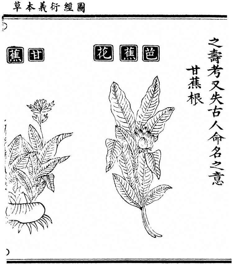 p. 1671