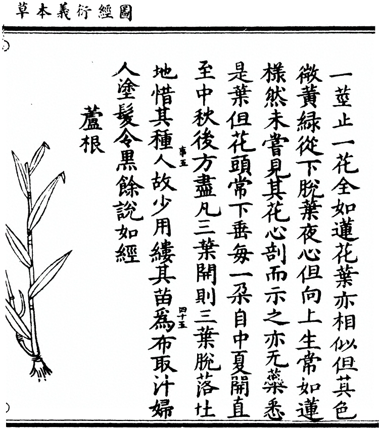 第 1677 页