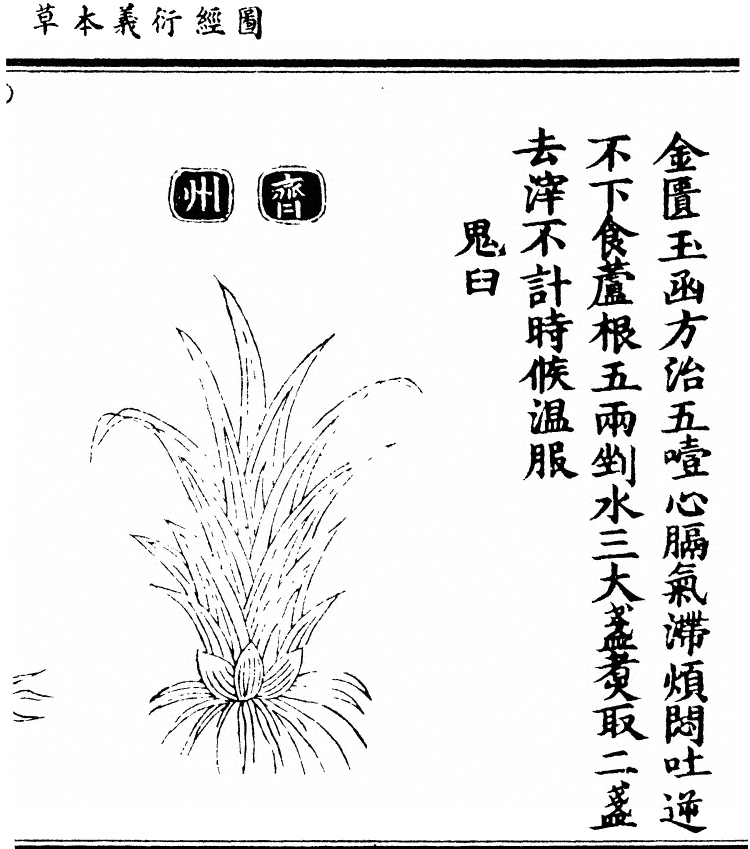 第 1683 页