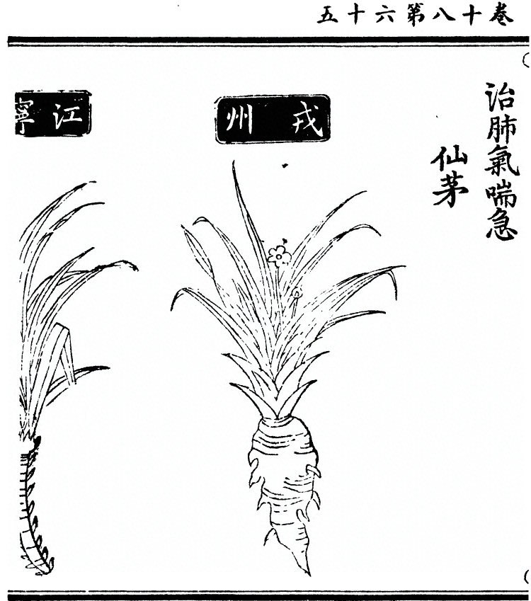 p. 1696