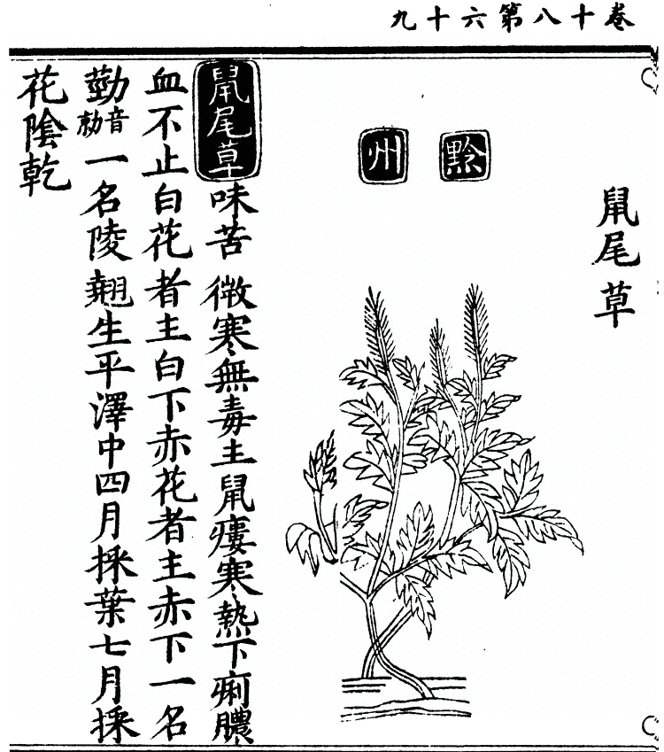 p. 1704