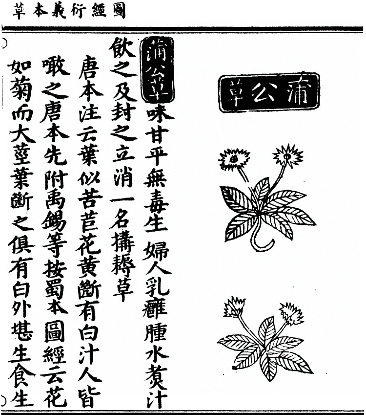 第 1724 页