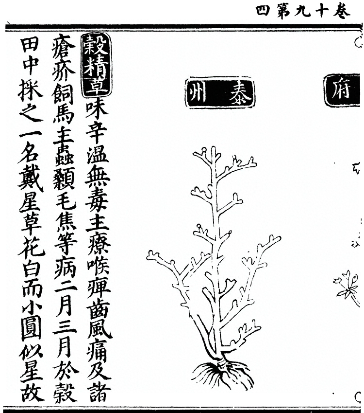 p. 1727