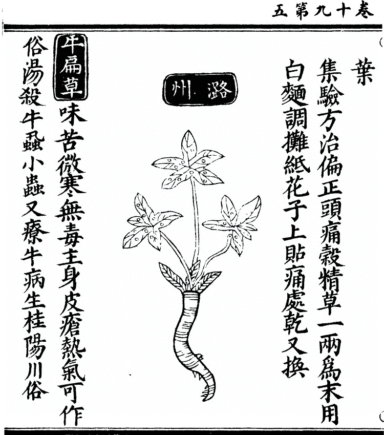 第 1729 页
