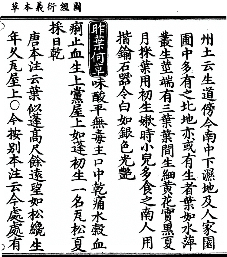 第 1734 页