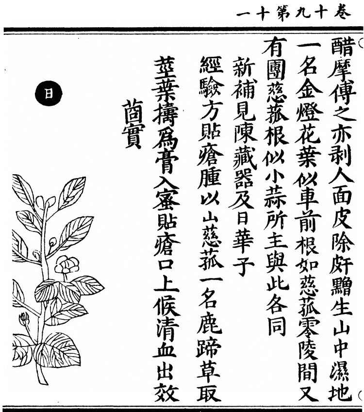 第 1741 页