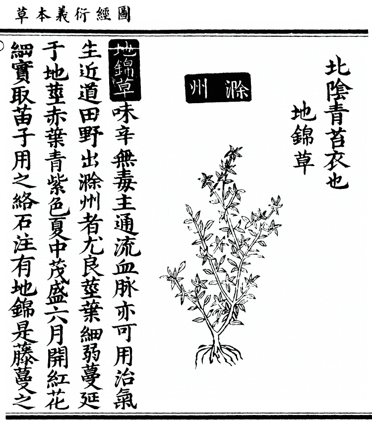 第 1746 页