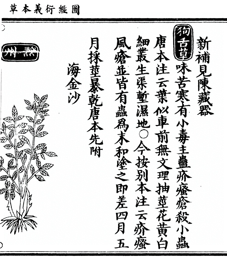 第 1756 页