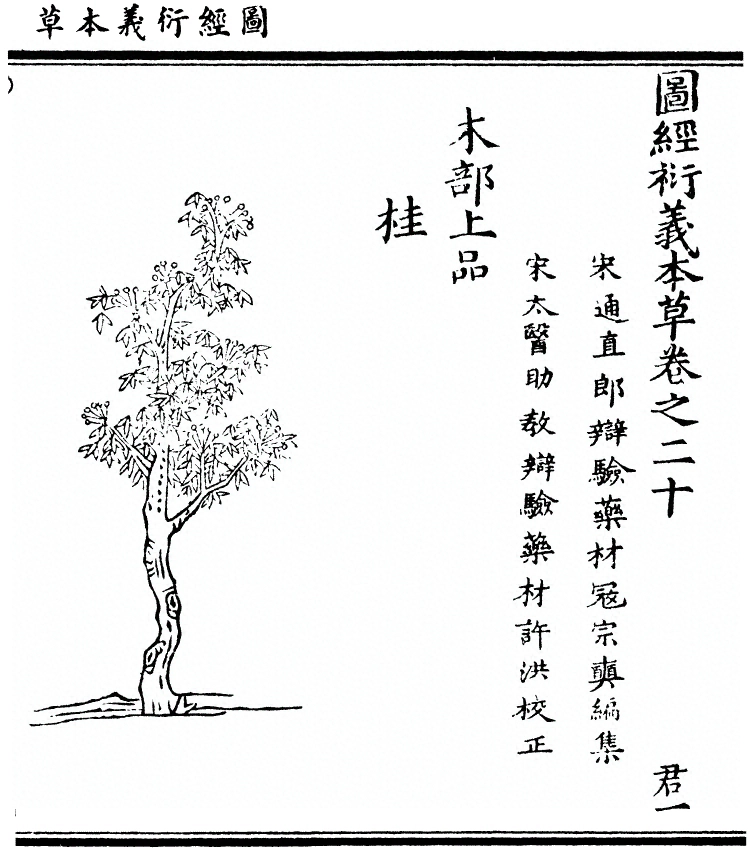 第 1769 页